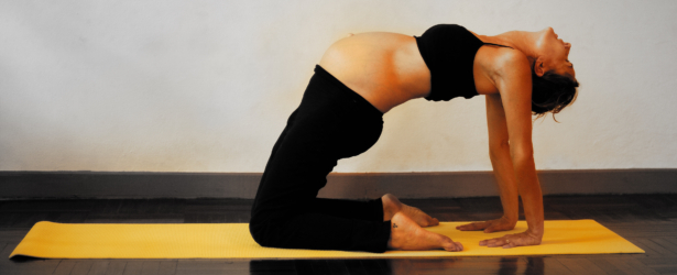 gravid yoga