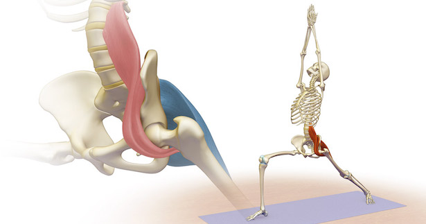 psoas